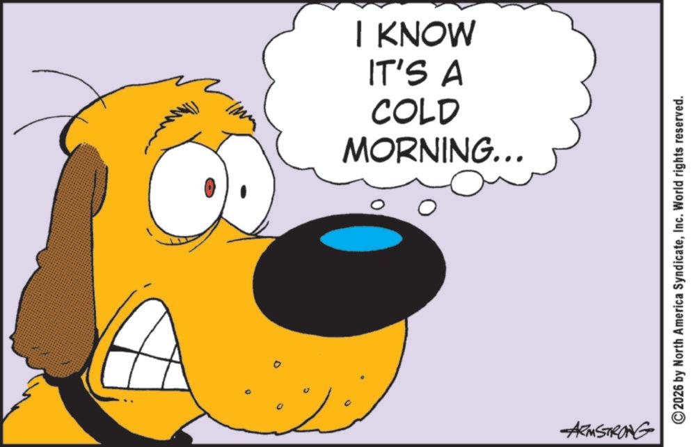 Canidae OCR: 0 ?? I KNOW IT'S A COLD MORNING... ARMSTRONG ©2026 by North America SyndicateInc. World rights reserved. 0 ?? I KNOW IT'S A COLD MORNING ... ARMSTRONG © 2026 by North America SyndicateInc. World rights reserved .