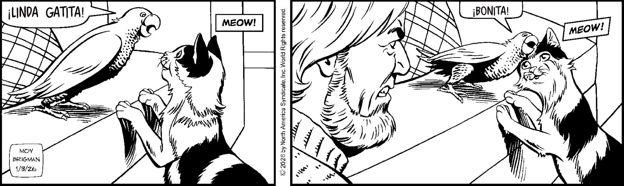 Beak OCR: 1/3/26 BRIGMAN MOY ¡LINDA GATITA! MEOW! ©2026 by North America SyndicateInc. World Rights reserved. "IT" M. ¡BONITA! MEOW! 1/3/26 BRIGMAN MOY ¡ LINDA GATITA ! MEOW ! © 2026 by North America SyndicateInc. World Rights reserved . " IT " M. ¡ BONITA ! MEOW !