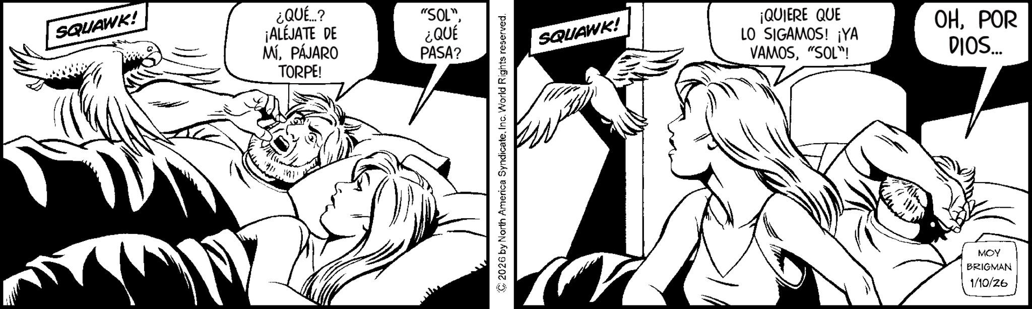 Line art OCR: SQUAWK! ¿QUÉ..? ¡ALÉJATE DE MÍPÁJARO TORPE! "SOL" ¿QUÉ PASA? 2026 by North America SyndicateInc. World Rights reserved. SQUAWK! ¡QUIERE QUE LO SIGAMOS! ¡YA VAMOS"SOL"! OH. POR DIOS... MOY BRIGMAN 1/10/26 SQUAWK ! ¿ QUÉ .. ? ¡ ALÉJATE DE MÍPÁJARO TORPE ! " SOL " ¿ QUÉ PASA ? 2026 by North America SyndicateInc. World Rights reserved . SQUAWK ! ¡ QUIERE QUE LO SIGAMOS ! ¡ YA VAMOS" SOL " ! OH . POR DIOS ... MOY BRIGMAN 1/10/26