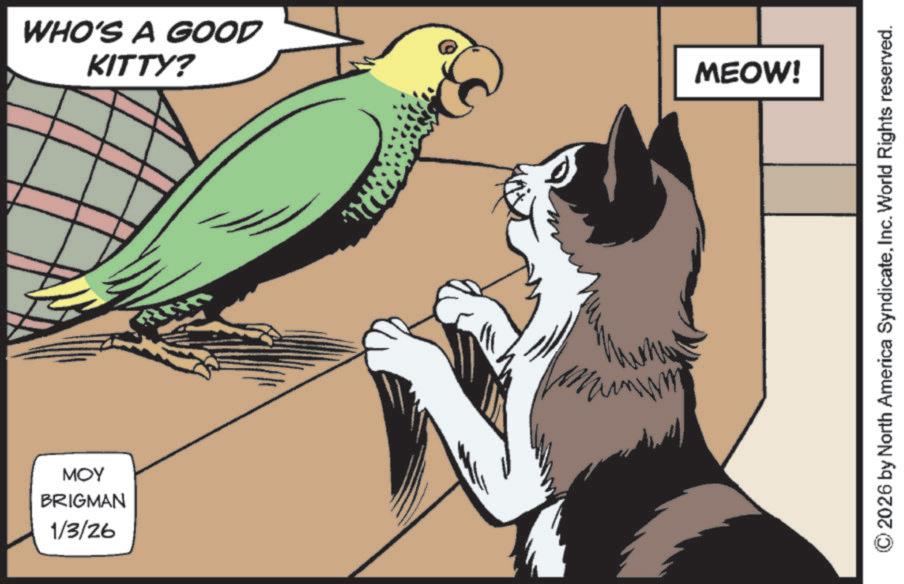 Tail OCR: MOY BRIGMAN 1/3/26 WHO'S A GOOD KITTY? RND MEOW! ©2026 by North America SyndicateInc. World Rights reserved. MOY BRIGMAN 1/3/26 WHO'S A GOOD KITTY ? RND MEOW ! © 2026 by North America SyndicateInc. World Rights reserved .
