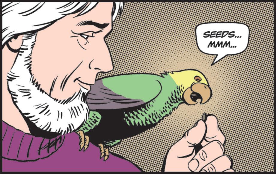 Parakeet OCR: Cita SEEDS... MMM... Cita SEEDS ... MMM ...