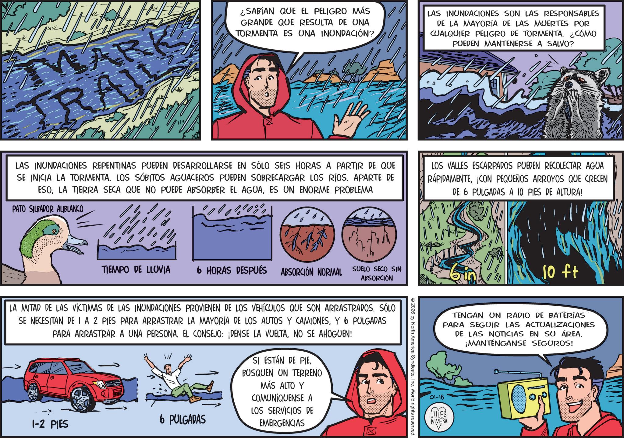 Adventure OCR: MARK TRAI ¿SABÍAN QUE EL PELIGRO MÁS GRANDE QUE RESULTA DE UNA TORMENTA ES UNA INUNDACIÓN? LAS INUNDACIONES REPENTINAS PUEDEN DESARROLLARSE EN SÓLO SEIS HORAS A PARTIR DE QUE SE INICIA LA TORMENTA. LOS SÚBITOS AGUACEROS PUEDEN SOBRECARGAR LOS RÍOS. APARTE DE ESOES UN ENORME PROBLEMA PATO SILBADOR ALIBLANCO ° 100% LAS INUNDACIONES SON LAS RESPONSABLES DE LA MAYORÍA DE LAS MUERTES POR CUALQUIER PELIGRO DE TORMENTA. ¿CÓMO PUEDEN MANTENERSE A SALVO? LOS VALLES ESCARPADOS PUEDEN RECOLECTAR AGUA RÁPIDAMENTECON PEQUEÑOS ARROYOS QUE CRECEN DE 6 PULGADAS A 10 PIES DE ALTURA! TIEMPO DE LLUVIA 6 HORAS DESPUÉS ABSORCIÓN NORMAL SUELO SECO SIN ABSORCIÓN LA MITAD DE LAS VÍCTIMAS DE LAS INUNDACIONES PROVIENEN DE LOS VEHÍCULOS QUE SON ARRASTRADOS. SÓLO SE NECESITAN DE IA 2 PIES PARA ARRASTRAR LA MAYORÍA DE LOS AUTOS Y CAMIONESY 6 PULGADAS PARA ARRASTRAR A UNA PERSONA. EL CONSEJO: ¡DENSE LA VUELTANO SE AHOGUEN! 6 PULGADAS 1-2 PIES SI ESTÁN DE PIEBUSQUEN UN TERRENO MÁS ALTO Y COMUNIQUENSE A LOS SERVICIOS DE EMERGENCIAS 2026 by North America SyndicateInc. World rights reserved 10 ft TENGAN UN RADIO DE BATERÍAS PARA SEGUIR LAS ACTUALIZACIONES DE LAS NOTICIAS EN SU ÁREA. ¡MANTÉNGANSE SEGUROS! 01-18 JULES RIVERA MARK TRAI ¿ SABÍAN QUE EL PELIGRO MÁS GRANDE QUE RESULTA DE UNA TORMENTA ES UNA INUNDACIÓN ? LAS INUNDACIONES REPENTINAS PUEDEN DESARROLLARSE EN SÓLO SEIS HORAS A PARTIR DE QUE SE INICIA LA TORMENTA . LOS SÚBITOS AGUACEROS PUEDEN SOBRECARGAR LOS RÍOS . APARTE DE ESOLA TIERRA SECA QUE NO PUEDE ABSORBER EL AGUAES UN ENORME PROBLEMA PATO SILBADOR ALIBLANCO ° 100 % LAS INUNDACIONES SON LAS RESPONSABLES DE LA MAYORÍA DE LAS MUERTES POR CUALQUIER PELIGRO DE TORMENTA . ¿ CÓMO PUEDEN MANTENERSE A SALVO ? LOS VALLES ESCARPADOS PUEDEN RECOLECTAR AGUA RÁPIDAMENTECON PEQUEÑOS ARROYOS QUE CRECEN DE 6 PULGADAS A 10 PIES DE ALTURA ! TIEMPO DE LLUVIA 6 HORAS DESPUÉS ABSORCIÓN NORMAL SUELO SECO SIN ABSORCIÓN LA MITAD DE LAS VÍCTIMAS DE LAS INUNDACIONES PROVIENEN DE LOS VEHÍCULOS QUE SON ARRASTRADOS . SÓLO SE NECESITAN DE IA 2 PIES PARA ARRASTRAR LA MAYORÍA DE LOS AUTOS Y CAMIONESY 6 PULGADAS PARA ARRASTRAR A UNA PERSONA . EL CONSEJO : ¡ DENSE LA VUELTANO SE AHOGUEN ! 6 PULGADAS 1-2 PIES SI ESTÁN DE PIEBUSQUEN UN TERRENO MÁS ALTO Y COMUNIQUENSE A LOS SERVICIOS DE EMERGENCIAS 2026 by North America SyndicateInc. World rights reserved 10 ft TENGAN UN RADIO DE BATERÍAS PARA SEGUIR LAS ACTUALIZACIONES DE LAS NOTICIAS EN SU ÁREA . ¡ MANTÉNGANSE SEGUROS ! 01-18 JULES RIVERA
