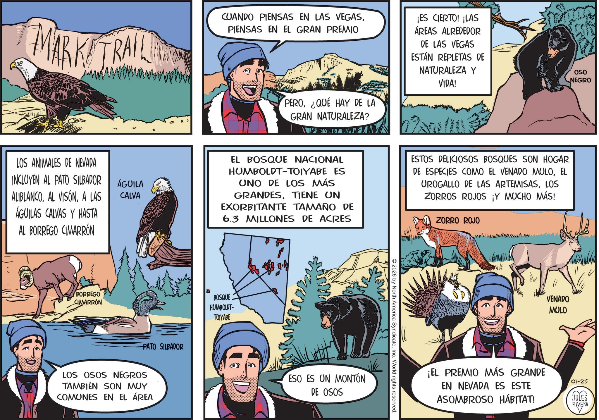 Animated cartoon OCR: MARKI TRAILE CUANDO PIENSAS EN LAS VEGASPIENSAS EN EL GRAN PREMIO M ¡ES CIERTO! ¡LAS ÁREAS ALREDEDOR DE LAS VEGAS ESTÁN REPLETAS DE NATURALEZA Y VIDA! LOS ANIMALES DE NEVADA INCLUYEN AL PATO SILBADOR ALIBLANCOA LAS ÁGUILAS CALVAS Y HASTA AL BORREGO CIMARRÓN BORREGO CIMARRON PERO¿QUÉ HAY DE LA GRAN NATURALEZA? OSO NEGRO ÁGUILA CALVA EL BOSQUE NACIONAL HUMBOLDT-TOIYABE ES UNO DE LOS MÁS GRANDESTIENE UN EXORBITANTE TAMAÑO DE 6.3 MILLONES DE ACRES ESTOS DELICIOSOS BOSQUES SON HOGAR DE ESPECIES COMO EL VENADO MULOEL UROGALLO DE LAS ARTEMISASLOS ZORROS ROJOS ¡Y MUCHO MÁS! ZORRO ROJO PATO SILBADOR LOS OSOS NEGROS TAMBIÉN SON MUY COMUNES EN EL ÁREA BOSQUE HUMBOLDT- TOIYABE ESO ES UN MONTÓN DE OSOS 2026 by North America SyndicateInc. World rights reserved. VENADO MULO ¡EL PREMIO MÁS GRANDE EN NEVADA ES ESTE ASOMBROSO HÁBITAT! 01-25 JULES RIVERA MARKI TRAILE CUANDO PIENSAS EN LAS VEGASPIENSAS EN EL GRAN PREMIO M ¡ ES CIERTO ! ¡ LAS ÁREAS ALREDEDOR DE LAS VEGAS ESTÁN REPLETAS DE NATURALEZA Y VIDA ! LOS ANIMALES DE NEVADA INCLUYEN AL PATO SILBADOR ALIBLANCOAL VISÓNA LAS ÁGUILAS CALVAS Y HASTA AL BORREGO CIMARRÓN BORREGO CIMARRON PERO¿ QUÉ HAY DE LA GRAN NATURALEZA ? OSO NEGRO ÁGUILA CALVA EL BOSQUE NACIONAL HUMBOLDT - TOIYABE ES UNO DE LOS MÁS GRANDESTIENE UN EXORBITANTE TAMAÑO DE 6.3 MILLONES DE ACRES ESTOS DELICIOSOS BOSQUES SON HOGAR DE ESPECIES COMO EL VENADO MULOEL UROGALLO DE LAS ARTEMISASLOS ZORROS ROJOS ¡ Y MUCHO MÁS ! ZORRO ROJO PATO SILBADOR LOS OSOS NEGROS TAMBIÉN SON MUY COMUNES EN EL ÁREA BOSQUE HUMBOLDT- TOIYABE ESO ES UN MONTÓN DE OSOS 2026 by North America SyndicateInc. World rights reserved . VENADO MULO ¡ EL PREMIO MÁS GRANDE EN NEVADA ES ESTE ASOMBROSO HÁBITAT ! 01-25 JULES RIVERA