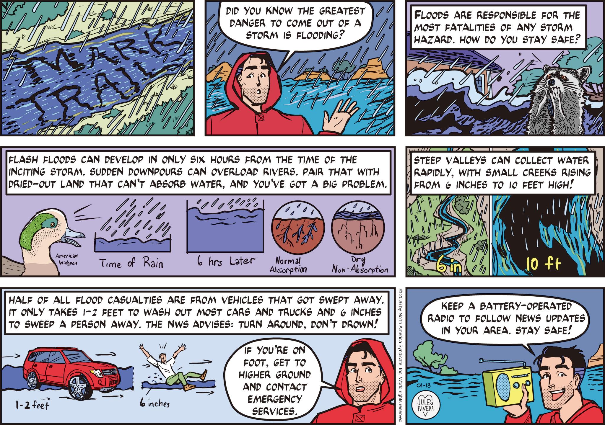 Publication OCR: MARK TRA DID YOU KNOW THE GREATEST DANGER TO COME OUT OF A STORM IS FLOODING? FLASH FLOODS CAN DEVELOP IN ONLY SIX HOURS FROM THE TIME OF THE INCITING STORM. SUDDEN DOWNPOURS CAN OVERLOAD RIVERS. PAIR THAT WITH DRIED-OUT LAND THAT CAN'T ABSORB WATERAND YOU'VE GOT A BIG PROBLEM. FLOODS ARE RESPONSIBLE FOR THE MOST FATALITIES OF ANY STORM HAZARD. HOW DO YOU STAY SAFE? STEEP VALLEYS CAN COLLECT WATER RAPIDLYWITH SMALL CREEKS RISING FROM 6 INCHES TO 10 FEET HIGH! American Widgeon Time of Rain 6 hrs Later Normal Absorption Dry Non-Absorption 2026 by North America SyndicateInc. World rights reserved. HALF OF ALL FLOOD CASUALTIES ARE FROM VEHICLES THAT GOT SWEPT AWAY. IT ONLY TAKES 1-2 FEET TO WASH OUT MOST CARS AND TRUCKS AND 6 INCHES TO SWEEP A PERSON AWAY. THE NWS ADVISES: TURN AROUNDDON'T DROWN! 1-2 feet 6 inches IF YOU'RE ON FOOTGET TO HIGHER GROUND AND CONTACT EMERGENCY SERVICES. ??? 10 ft KEEP A BATTERY-OPERATED RADIO TO FOLLOW NEWS UPDATES IN YOUR AREA. STAY SAFE! 01-18 JULES RIVERA MARK TRA DID YOU KNOW THE GREATEST DANGER TO COME OUT OF A STORM IS FLOODING ? FLASH FLOODS CAN DEVELOP IN ONLY SIX HOURS FROM THE TIME OF THE INCITING STORM . SUDDEN DOWNPOURS CAN OVERLOAD RIVERS . PAIR THAT WITH DRIED - OUT LAND THAT CAN'T ABSORB WATERAND YOU'VE GOT A BIG PROBLEM . FLOODS ARE RESPONSIBLE FOR THE MOST FATALITIES OF ANY STORM HAZARD . HOW DO YOU STAY SAFE ? STEEP VALLEYS CAN COLLECT WATER RAPIDLYWITH SMALL CREEKS RISING FROM 6 INCHES TO 10 FEET HIGH ! American Widgeon Time of Rain 6 hrs Later Normal Absorption Dry Non - Absorption 2026 by North America SyndicateInc. World rights reserved . HALF OF ALL FLOOD CASUALTIES ARE FROM VEHICLES THAT GOT SWEPT AWAY . IT ONLY TAKES 1-2 FEET TO WASH OUT MOST CARS AND TRUCKS AND 6 INCHES TO SWEEP A PERSON AWAY . THE NWS ADVISES : TURN AROUNDDON'T DROWN ! 1-2 feet 6 inches IF YOU'RE ON FOOTGET TO HIGHER GROUND AND CONTACT EMERGENCY SERVICES . ??? 10 ft KEEP A BATTERY - OPERATED RADIO TO FOLLOW NEWS UPDATES IN YOUR AREA . STAY SAFE ! 01-18 JULES RIVERA