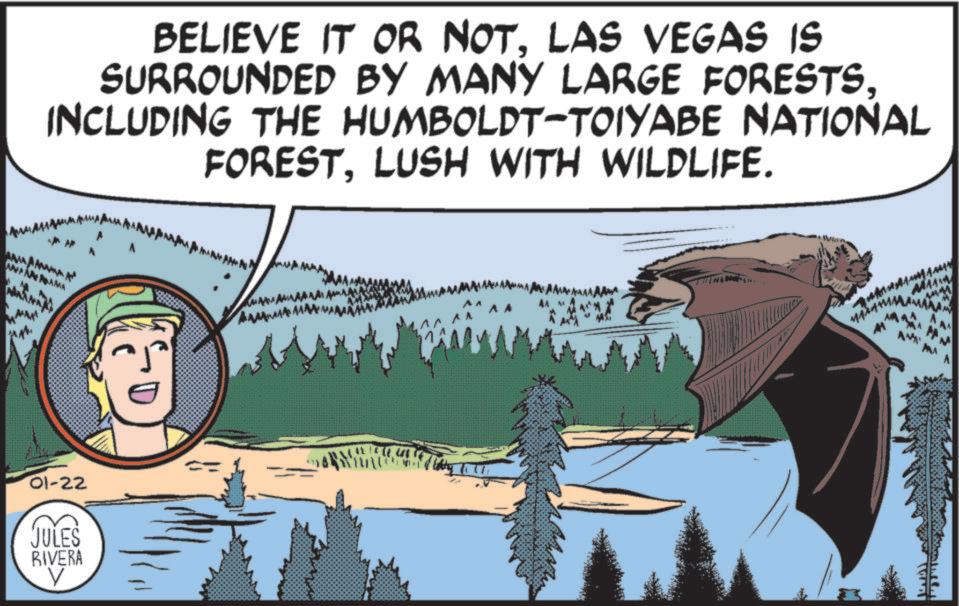 National park OCR: BELIEVE IT OR NOTLAS VEGAS IS SURROUNDED BY MANY LARGE FORESTSINCLUDING THE HUMBOLDT-TOIYABE NATIONAL FORESTLUSH WITH WILDLIFE. ANA PAMA 01-22 JULES RIVERA V Won MM MA BELIEVE IT OR NOTLAS VEGAS IS SURROUNDED BY MANY LARGE FORESTSINCLUDING THE HUMBOLDT - TOIYABE NATIONAL FORESTLUSH WITH WILDLIFE . ANA PAMA 01-22 JULES RIVERA V Won MM MA