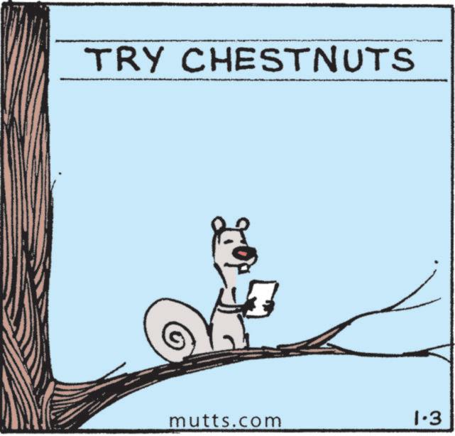 Tail OCR: TRY CHESTNUTS mutts.com 1.3 TRY CHESTNUTS mutts.com 1.3