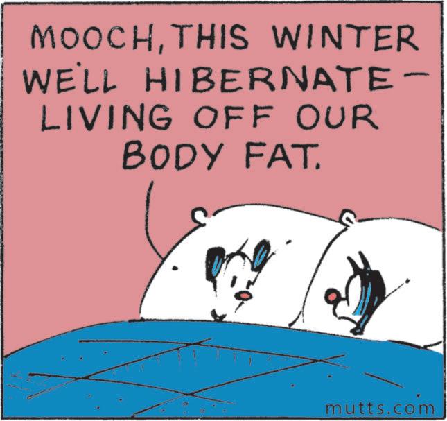 Photo caption OCR: MOOCHTHIS WINTER WE'LL HIBERNATE- LIVING OFF OUR BODY FAT. mutts.com MOOCHTHIS WINTER WE'LL HIBERNATE- LIVING OFF OUR BODY FAT . mutts.com