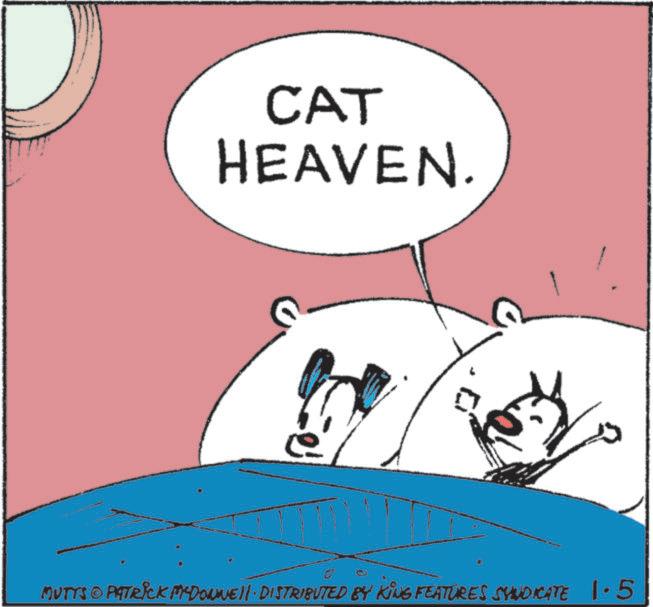 Photo caption OCR: CAT HEAVEN. MUTTS © PATRICK MEDONNELL DISTRIBUTED BY KING FEATURES SYNDICATE 1.51 CAT HEAVEN . MUTTS © PATRICK MEDONNELL DISTRIBUTED BY KING FEATURES SYNDICATE 1.51