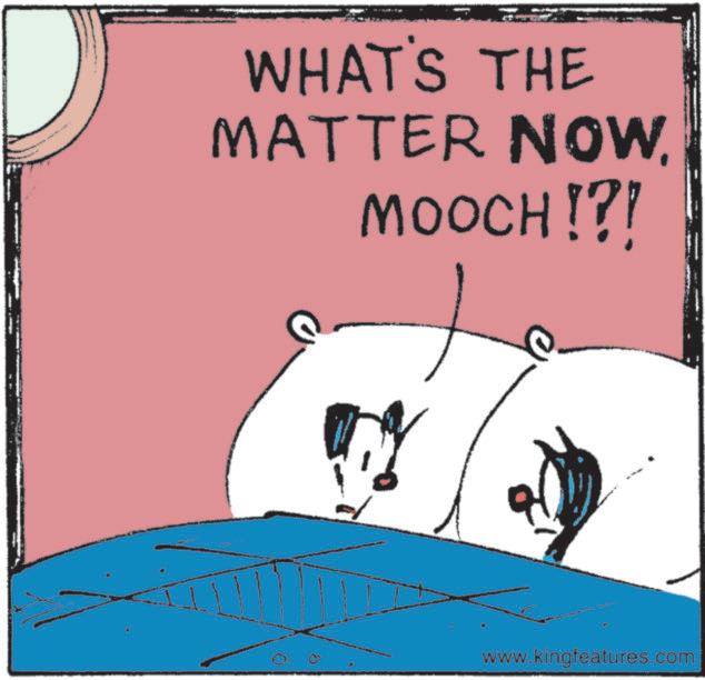 Fiction OCR: T WHAT'S THE MATTER NOWMOOCH!?! www.kingfeatures.com T WHAT'S THE MATTER NOWMOOCH ! ? ! www.kingfeatures.com