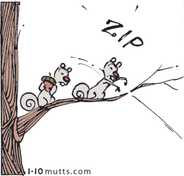 Rodent OCR: ZIP 1.10 mutts.com ZIP 1.10 mutts.com