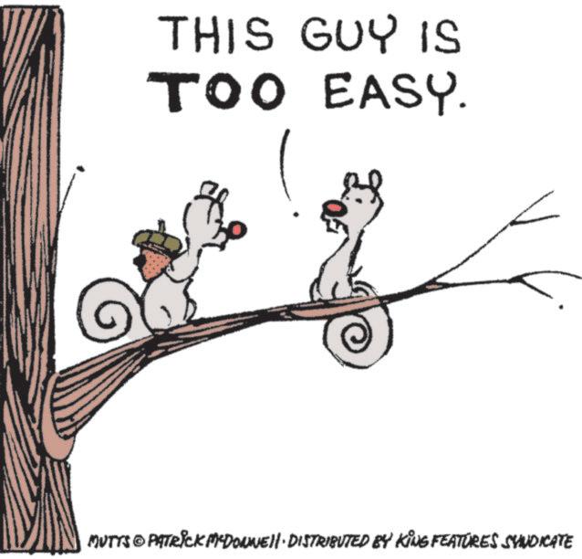 Animated cartoon OCR: THIS GUY IS TOO EASY. MUTTS © PATRICK MYDOUMIE)|· DISTRIBUTED BY KING FEATURES SYNDICATE THIS GUY IS TOO EASY . MUTTS © PATRICK MYDOUMIE ) | · DISTRIBUTED BY KING FEATURES SYNDICATE