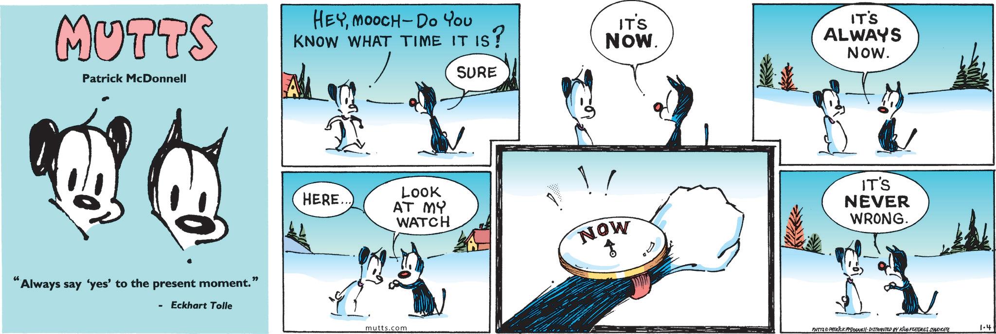 Animated cartoon OCR: MUTTS Patrick McDonnell HEYMOOCH-Do You KNOW WHAT TIME IT IS? SURE "Always say 'yes' to the present moment." " - Eckhart Tolle HERE...) Look AT MY WATCH mutts.com IT'S NOW. NOW 10 IT'S ALWAYS NOW. IT'S NEVER WRONG. MUTTS PATRICK MYDOUNE||· DISTRIBUTED BY KING FEATURES SYNDICATE 1-41 MUTTS Patrick McDonnell HEYMOOCH - Do You KNOW WHAT TIME IT IS ? SURE " Always say ' yes ' to the present moment . " " - Eckhart Tolle HERE ... ) Look AT MY WATCH mutts.com IT'S NOW . NOW 10 IT'S ALWAYS NOW . IT'S NEVER WRONG . MUTTS PATRICK MYDOUNE || · DISTRIBUTED BY KING FEATURES SYNDICATE 1-41