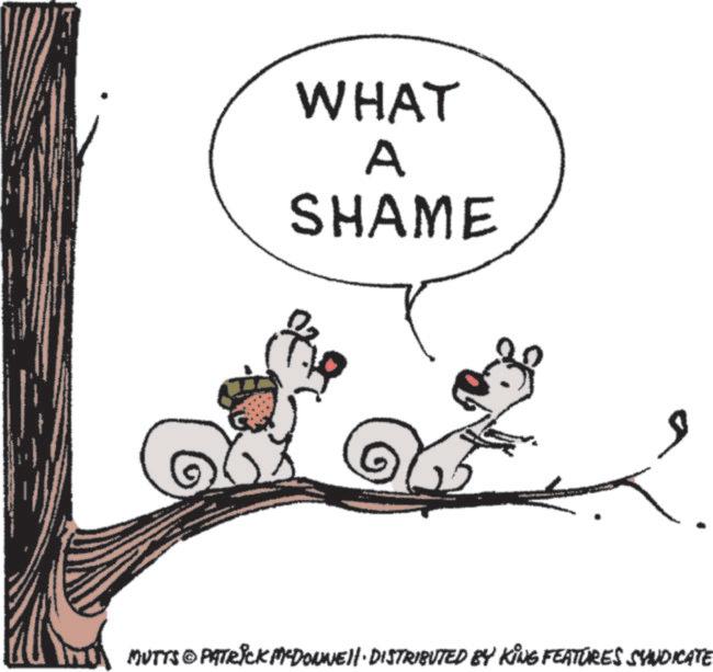 Happiness OCR: WHAT A SHAME MUTTS© PATRICK MEDONNE DISTRIBUTED BY KING FEATURES SYNDICATE WHAT A SHAME MUTTS © PATRICK MEDONNE DISTRIBUTED BY KING FEATURES SYNDICATE
