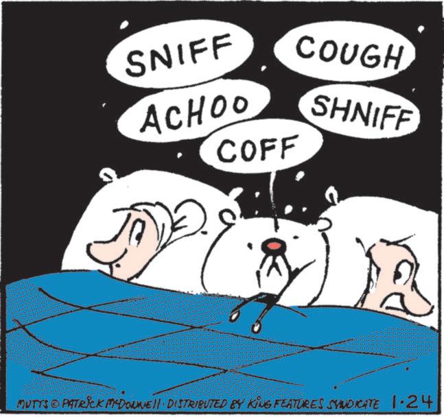 Photo caption OCR: SNIFF COUGH ACHOO COFF SHNIFF MUTTS © PATRICK MYDONNE DISTRIBUTED BY KING FEATURES SYNDICATE 1.24 SNIFF COUGH ACHOO COFF SHNIFF MUTTS © PATRICK MYDONNE DISTRIBUTED BY KING FEATURES SYNDICATE 1.24