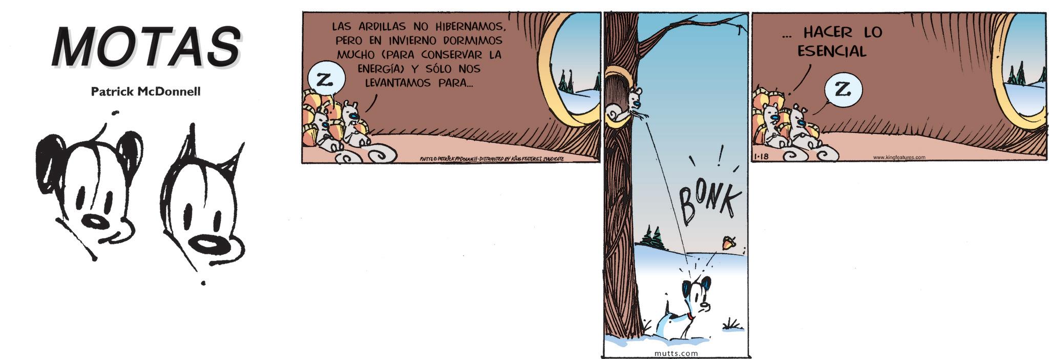 Fictional character OCR: MOTAS Z. Patrick McDonnell LAS ARDILLAS NO HIBERNAMOSPERO EN INVIERNO DORMIMOS MUCHO (PARA CONSERVAR LA ENERGÍA) Y SÓLO NOS LEVANTAMOS PARA... MUTYS PATRICK MYDONNE DISTRIBUTED BY KING FEATURES SYNDICATE BONK mutts.com 1-18 HACER LO ESENCIAL Z www.kingfeatures.com MOTAS Z. Patrick McDonnell LAS ARDILLAS NO HIBERNAMOSPERO EN INVIERNO DORMIMOS MUCHO ( PARA CONSERVAR LA ENERGÍA ) Y SÓLO NOS LEVANTAMOS PARA ... MUTYS PATRICK MYDONNE DISTRIBUTED BY KING FEATURES SYNDICATE BONK mutts.com 1-18 HACER LO ESENCIAL Z www.kingfeatures.com