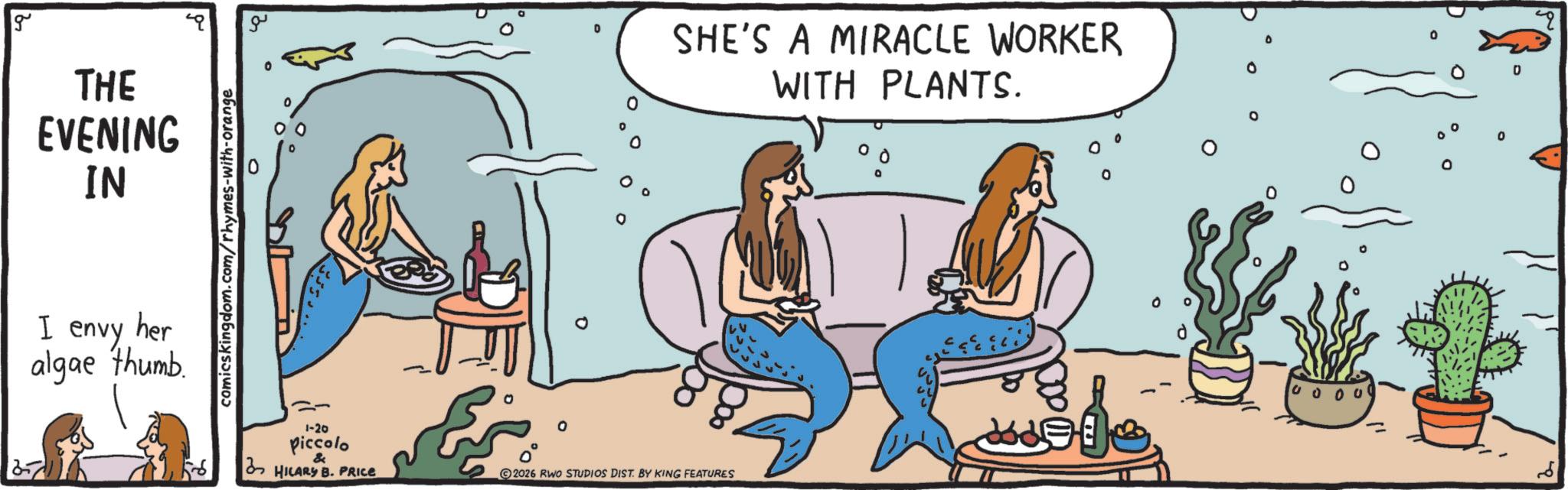 OCR: g THE EVENING IN I envy her algae thumb. comicskingdom.com/rhymes-with-orange ?? 0 0 SHE'S A MIRACLE WORKER WITH PLANTS. 1-20 Piccolo HILARY B. PRICE 2026 RWO STUDIOS DIST. BY KING FEATURES 0 0 4 g THE EVENING IN I envy her algae thumb . comicskingdom.com/rhymes-with-orange ?? 0 0 SHE'S A MIRACLE WORKER WITH PLANTS . 1-20 Piccolo HILARY B. PRICE 2026 RWO STUDIOS DIST . BY KING FEATURES 0 0 4