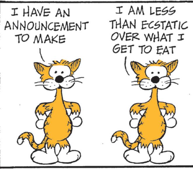 Graphics OCR: I HAVE AN ANNOUNCEMENT TO MAKE I AM LESS THAN ECSTATIC OVER WHAT I GET TO EAT I HAVE AN ANNOUNCEMENT TO MAKE I AM LESS THAN ECSTATIC OVER WHAT I GET TO EAT