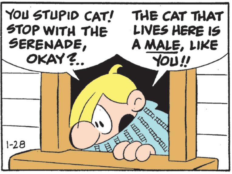 Publication OCR: YOU STUPID CAT! STOP WITH THE SERENADEOKAY?.. THE CAT THAT LIVES HERE IS A MALELIKE YOU!! 1-28 YOU STUPID CAT ! STOP WITH THE SERENADEOKAY ? .. THE CAT THAT LIVES HERE IS A MALELIKE YOU !! 1-28