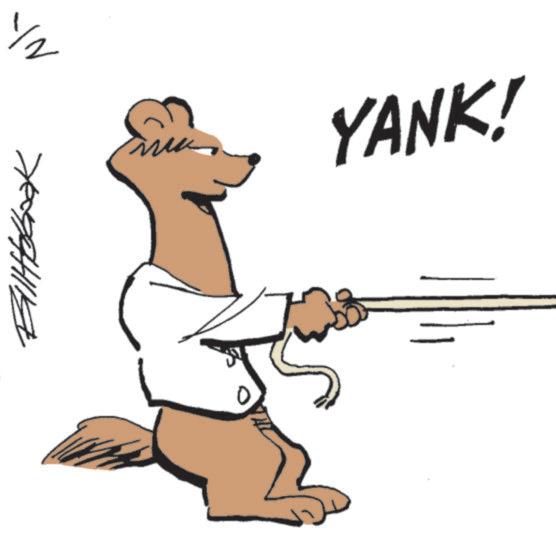 Animation OCR: YANK! ? YANK ! ?