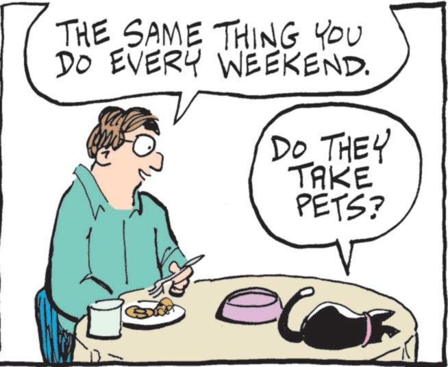 Junk food OCR: THE SAME THING YOU DO EVERY WEEKEND. DO THEY TAKE PETS? THE SAME THING YOU DO EVERY WEEKEND . DO THEY TAKE PETS ?