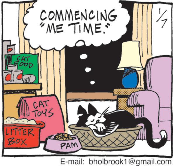 Tail OCR: CAT LGOOD COMMENCING "ME TIME." LITTER Box CAT TOYS PAM E-mail: bholbrook1@gmail.com CAT LGOOD COMMENCING " ME TIME . " LITTER Box CAT TOYS PAM E - mail : bholbrook1@gmail.com