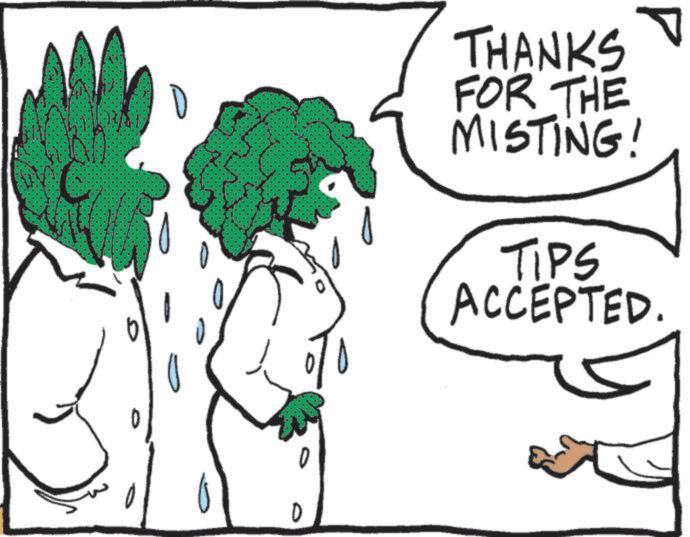 Line art OCR: THANKS FOR THE MISTING! P TIPS ACCEPTED. THANKS FOR THE MISTING ! P TIPS ACCEPTED .