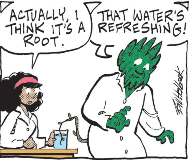 Pleased OCR: ACTUALLYI THAT WATER'S THINK IT'S A REFRESHING! ROOT. Gill Holbrook ACTUALLYI THAT WATER'S THINK IT'S A REFRESHING ! ROOT . Gill Holbrook