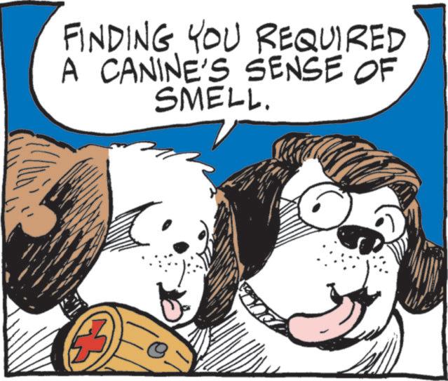 Pet Supply OCR: FINDING YOU REQUIRED A CANINE'S SENSE OF SMELL. FINDING YOU REQUIRED A CANINE'S SENSE OF SMELL .