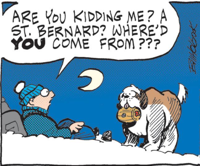 Canidae OCR: ARE YOU KIDDING ME? A ST. BERNARD? WHERE'D YOU COME FROM??? ARE YOU KIDDING ME ? A ST . BERNARD ? WHERE'D YOU COME FROM ???