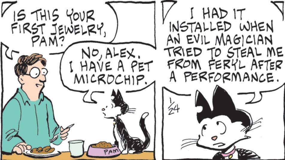 Animation OCR: IS THIS YOUR FIRST JEWELRYPAM? NOALEX. I HAVE A PET MICROCHIP. 25 ? I HAD IT INSTALLED WHEN AN EVIL MAGICIAN TRIED TO STEAL ME FROM FERYL AFTER A PERFORMANCE. PAM IS THIS YOUR FIRST JEWELRYPAM ? NOALEX . I HAVE A PET MICROCHIP . 25 ? I HAD IT INSTALLED WHEN AN EVIL MAGICIAN TRIED TO STEAL ME FROM FERYL AFTER A PERFORMANCE . PAM