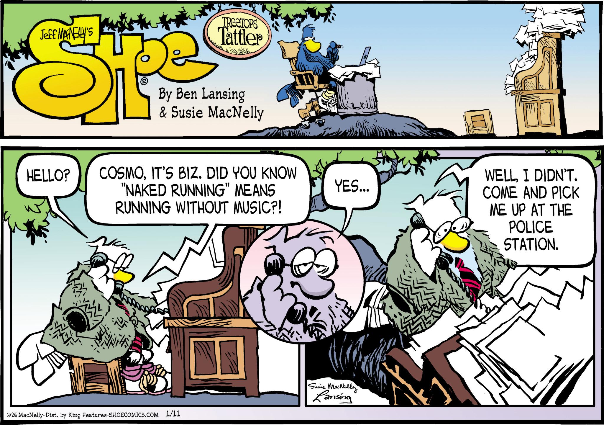 Bird OCR: Jeff MANELLY'S TREETOPS Tattler By Ben Lansing & Susie MacNelly HELLO? COSMOIT'S BIZ. DID YOU KNOW "NAKED RUNNING" MEANS YES... RUNNING WITHOUT MUSIC?! 26 MacNelly-Dist. by King Features-SHOECOMICS.COM 1/11 Susie MacNelly Lansing WELLI DIDN'T. COME AND PICK ME UP AT THE POLICE STATION. Jeff MANELLY'S TREETOPS Tattler By Ben Lansing & Susie MacNelly HELLO ? COSMOIT'S BIZ . DID YOU KNOW " NAKED RUNNING " MEANS YES ... RUNNING WITHOUT MUSIC ?! 26 MacNelly - Dist . by King Features-SHOECOMICS.COM 1/11 Susie MacNelly Lansing WELLI DIDN'T . COME AND PICK ME UP AT THE POLICE STATION .