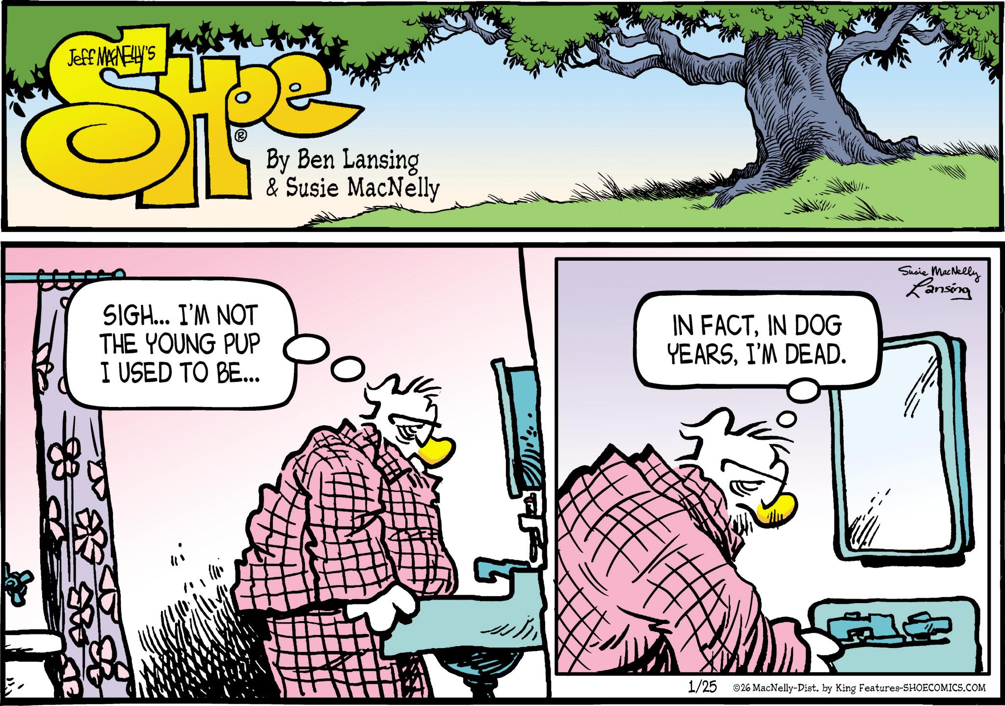 Publication OCR: Jeff MANELLY'S SP By Ben Lansing & Susie MacNelly SIGH... I'M NOT THE YOUNG PUP I USED TO BE... IN FACTIN DOG YEARSI'M DEAD. Susie MacNelly Lansing 1/25 026 MacNelly-Dist. by King Features-SHOECOMICS.COM Jeff MANELLY'S SP By Ben Lansing & Susie MacNelly SIGH ... I'M NOT THE YOUNG PUP I USED TO BE ... IN FACTIN DOG YEARSI'M DEAD . Susie MacNelly Lansing 1/25 026 MacNelly - Dist . by King Features-SHOECOMICS.COM