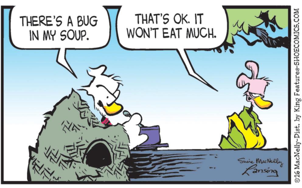 Graphics OCR: THERE'S A BUG IN MY SOUP. ?? THAT'S OK. IT WON'T EAT MUCH. Susie MacNelly Lansing ©26 MacNelly-Dist. by King Features-SHOECOMICS.COM THERE'S A BUG IN MY SOUP . ?? THAT'S OK . IT WON'T EAT MUCH . Susie MacNelly Lansing © 26 MacNelly - Dist . by King Features-SHOECOMICS.COM