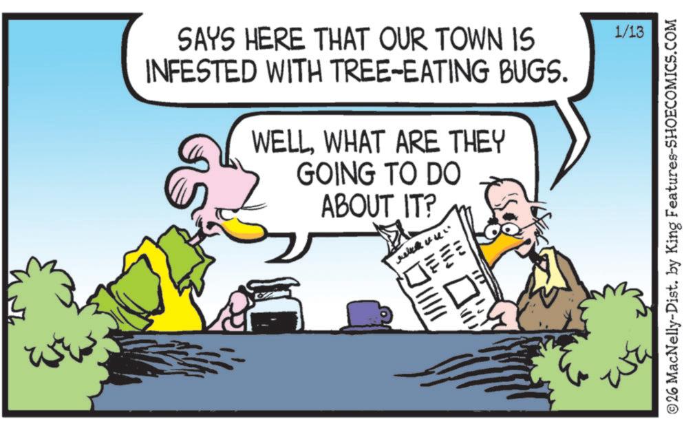 Fiction OCR: SAYS HERE THAT OUR TOWN IS INFESTED WITH TREE-EATING BUGS. WELLWHAT ARE THEY GOING TO DO ABOUT IT? O FEE 1/13 ©26 MacNelly-Dist. by King Features-SHOECOMICS.COM SAYS HERE THAT OUR TOWN IS INFESTED WITH TREE - EATING BUGS . WELLWHAT ARE THEY GOING TO DO ABOUT IT ? O FEE 1/13 © 26 MacNelly - Dist . by King Features-SHOECOMICS.COM