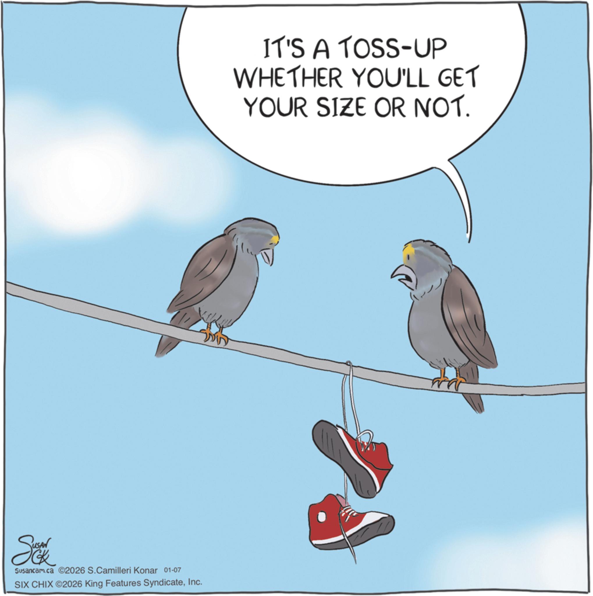 Animated cartoon OCR: Sea Susancam.ca SIX CHIX ©2026 King Features SyndicateInc. 2026 S.Camilleri Konar 01-07 IT'S A TOSS-UP WHETHER YOU'LL GET YOUR SIZE OR NOT. Sea Susancam.ca SIX CHIX © 2026 King Features SyndicateInc. 2026 S.Camilleri Konar 01-07 IT'S A TOSS - UP WHETHER YOU'LL GET YOUR SIZE OR NOT .