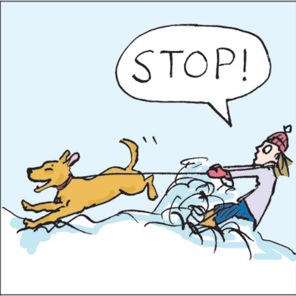 Canidae OCR: STOP! STOP !