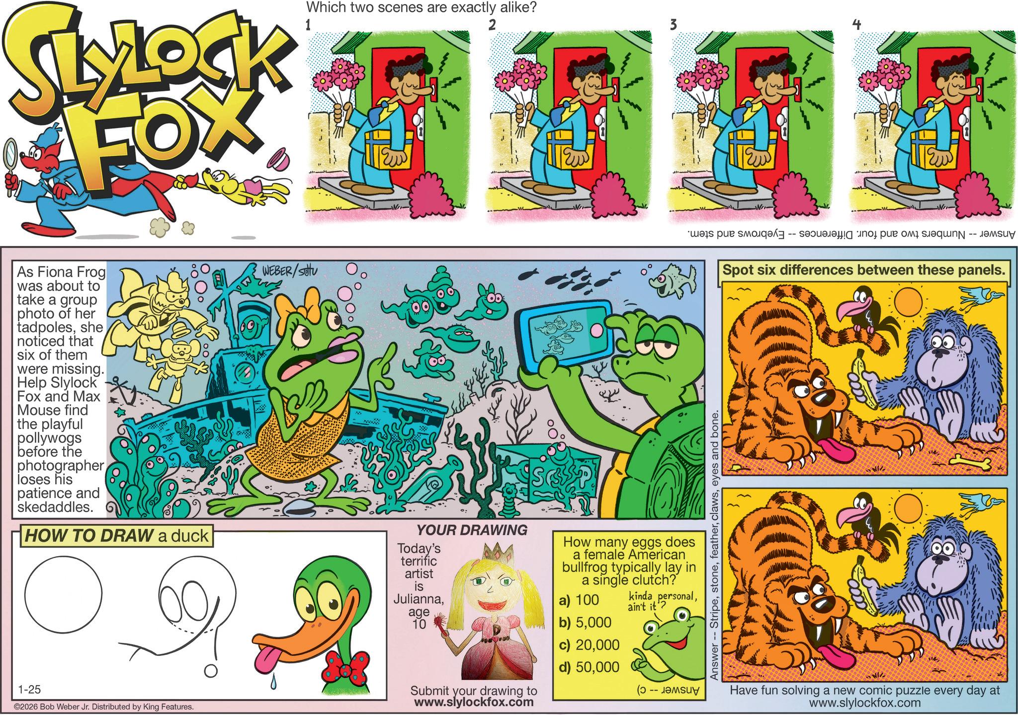 Comic book OCR: Which two scenes are exactly alike? 2 3 SLYLOCK FOX 1 As Fiona Frog was about to take a group photo of her tadpolesshe noticed that six of them were missing. Help Slylock Fox and Max Mouse find the playful pollywogs before the photographer loses his patience and skedaddles. WEBER/SOU -- es pt a part -- ????? Spot six differences between these panels. Answer Stripeeyes and bone. HOW TO DRAW a duck YOUR DRAWING Today's terrific artist ? 00 is Juliannaage 10 How many eggs does a female American bullfrog typically lay in a single clutch? a) 100 b) 5000 c) 20000 kinda personalain't it'? 1-25 ©2026 Bob Weber Jr. Distributed by King Features. Submit your drawing to www.slylockfox.com d) 50000 (? -- ????? Have fun solving a new comic puzzle every day at www.slylockfox.com Which two scenes are exactly alike ? 2 3 SLYLOCK FOX 1 As Fiona Frog was about to take a group photo of her tadpolesshe noticed that six of them were missing . Help Slylock Fox and Max Mouse find the playful pollywogs before the photographer loses his patience and skedaddles . WEBER / SOU -- es pt a part -- ????? Spot six differences between these panels . Answer Stripeeyes and bone . HOW TO DRAW a duck YOUR DRAWING Today's terrific artist ? 00 is Juliannaage 10 How many eggs does a female American bullfrog typically lay in a single clutch ? a ) 100 b ) 5000 c ) 20000 kinda personalain't it ' ? 1-25 © 2026 Bob Weber Jr. Distributed by King Features . Submit your drawing to www.slylockfox.com d ) 50000 ( ? -- ????? Have fun solving a new comic puzzle every day at www.slylockfox.com