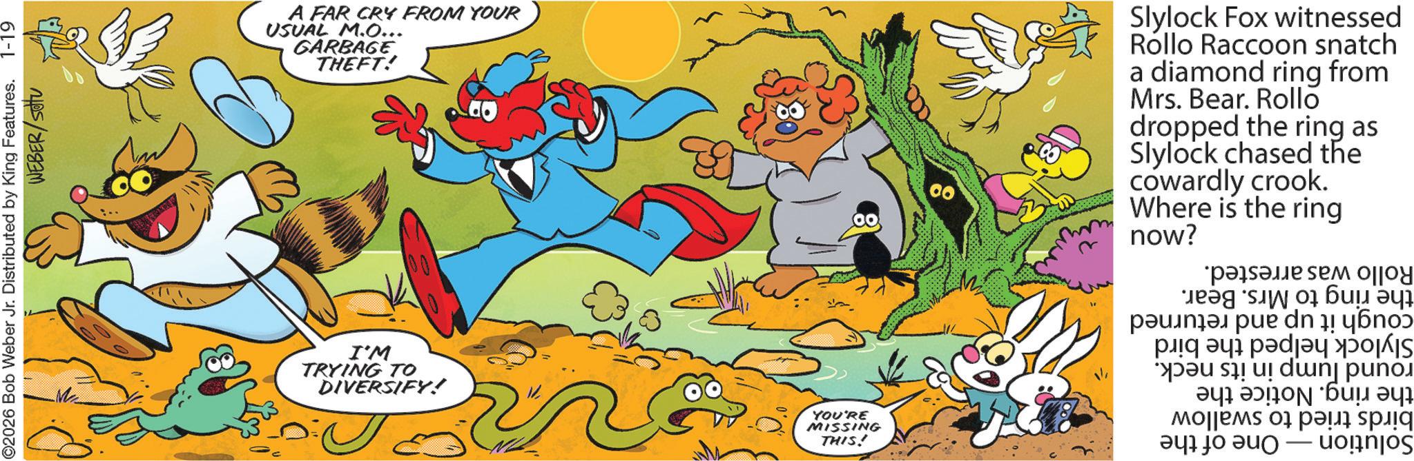 Pleased OCR: ©2026 Bob Weber Jr. Distributed by King Features. WEBER/Sotu 1-19 A FAR CRY FROM YOUR USUAL M.O... GARBAGE THEFT! Me I'M TRYING TO DIVERSIFY! YOU'RE MISSING THIS! 00 Slylock Fox witnessed Rollo Raccoon snatch a diamond ring from Mrs. Bear. Rollo dropped the ring as Slylock chased the cowardly crook. Where is now? the ring One of the Rollo was arrested. the ring to Mrs. Bear. cough it up and returned Slylock helped the bird round lump in its neck. the ring. Notice the birds tried to swallow Solution © 2026 Bob Weber Jr. Distributed by King Features . WEBER / Sotu 1-19 A FAR CRY FROM YOUR USUAL M.O ... GARBAGE THEFT ! Me I'M TRYING TO DIVERSIFY ! YOU'RE MISSING THIS ! 00 Slylock Fox witnessed Rollo Raccoon snatch a diamond ring from Mrs. Bear . Rollo dropped the ring as Slylock chased the cowardly crook . Where is now ? the ring One of the Rollo was arrested . the ring to Mrs. Bear . cough it up and returned Slylock helped the bird round lump in its neck . the ring . Notice the birds tried to swallow Solution