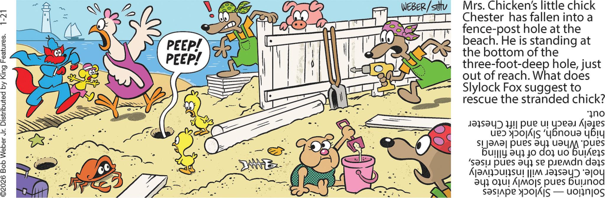 Publication OCR: ©2026 Bob Weber Jr. Distributed by King Features. 1-21 PEEP! PEEP! WEBER/Setu Slylock Fox suggest out of reach. What does three-foot-deep holejust the bottom of the beach. He is standing at fence-post hole at the Chester has fallen into a Mrs. Chicken's little chick rescue the to stranded chick? Solution — Slylock advises pouring sand slowly into the hole. Chester will instinctively step upward as the sand risesstaying on top of the filling sand. When the sand level is high enoughSlylock can safely reach out. in and lift Chester © 2026 Bob Weber Jr. Distributed by King Features . 1-21 PEEP ! PEEP ! WEBER / Setu Slylock Fox suggest out of reach . What does three - foot - deep holejust the bottom of the beach . He is standing at fence - post hole at the Chester has fallen into a Mrs. Chicken's little chick rescue the to stranded chick ? Solution — Slylock advises pouring sand slowly into the hole . Chester will instinctively step upward as the sand risesstaying on top of the filling sand . When the sand level is high enoughSlylock can safely reach out . in and lift Chester