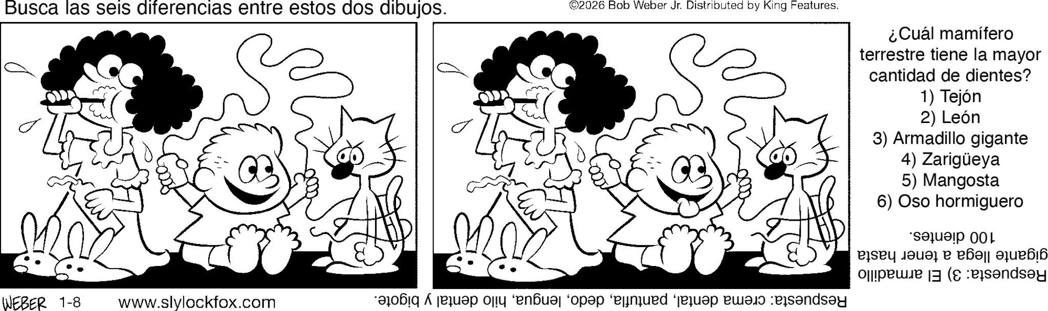 Pleased OCR: Busca las seis diferencias entre estos dos dibujos. ©2026 Bob Weber Jr. Distributed by King Features. ? WEBER 1-8 www.slylockfox.com ? ¿Cuál mamífero terrestre tiene la mayor cantidad de dientes? 1) Tejón 2) León 3) Armadillo gigante 4) Zarigüeya 5) Mangosta 6) Oso hormiguero Respuesta: crema dentalhilo dental y bigote. 100 dientes. gigante llega a tener hasta Respuesta: 3) El armadillo Busca las seis diferencias entre estos dos dibujos . © 2026 Bob Weber Jr. Distributed by King Features . ? WEBER 1-8 www.slylockfox.com ? ¿ Cuál mamífero terrestre tiene la mayor cantidad de dientes ? 1 ) Tejón 2 ) León 3 ) Armadillo gigante 4 ) Zarigüeya 5 ) Mangosta 6 ) Oso hormiguero Respuesta : crema dentalhilo dental y bigote . 100 dientes . gigante llega a tener hasta Respuesta : 3 ) El armadillo