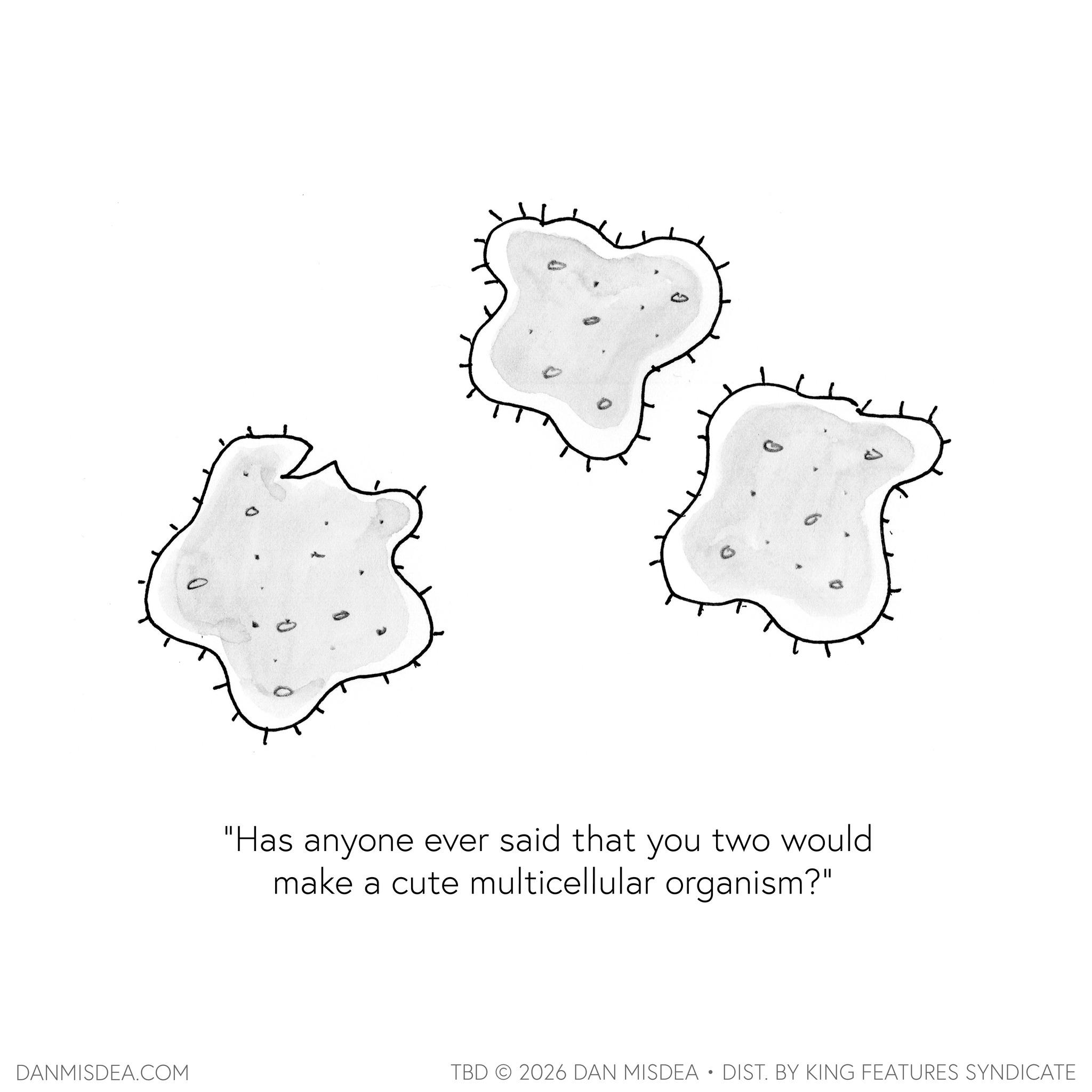 Line art OCR: ? "Has anyone ever said that you two would make a cute multicellular organism?" DANMISDEA.COM TBD 2026 DAN MISDEA • DIST. BY KING FEATURES SYNDICATE ? " Has anyone ever said that you two would make a cute multicellular organism ? " DANMISDEA.COM TBD 2026 DAN MISDEA • DIST . BY KING FEATURES SYNDICATE