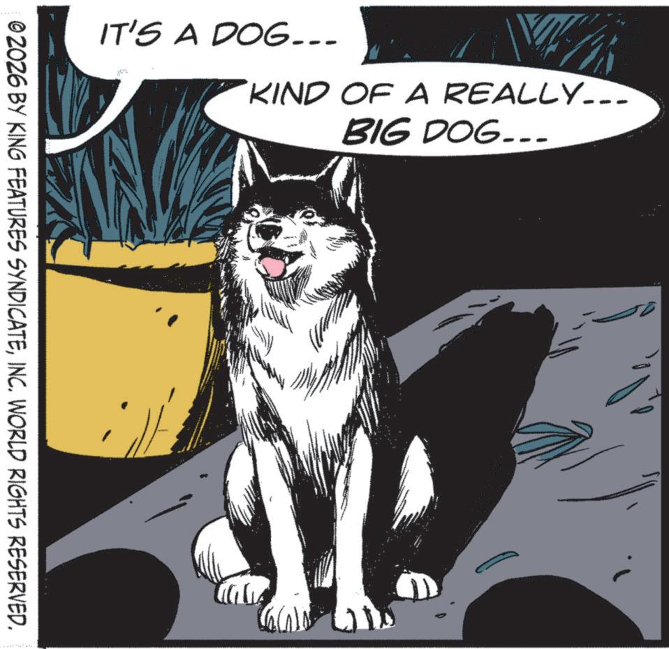 Graphics OCR: IT'S A DOG... KIND OF A REALLY___ BIG DOG... ????? © 2026 BY KING FEATURES SYNDICATEINC. WORLD RIGHTS RESERVED. IT'S A DOG ... KIND OF A REALLY___ BIG DOG ... ????? © 2026 BY KING FEATURES SYNDICATEINC . WORLD RIGHTS RESERVED .