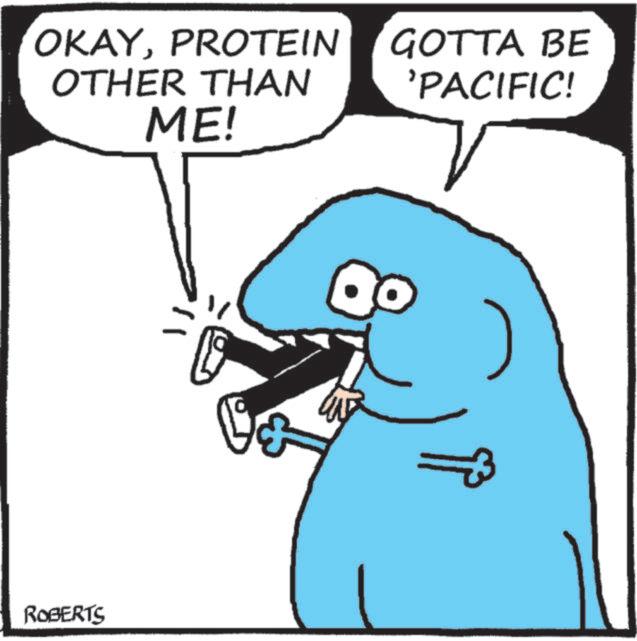 Animated cartoon OCR: OKAYPROTEIN OTHER THAN ME! GOTTA BE 'PACIFIC! ROBERTS OKAYPROTEIN OTHER THAN ME ! GOTTA BE ' PACIFIC ! ROBERTS