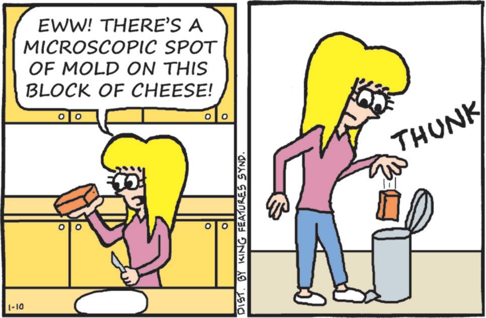 Comics OCR: 1-10 EWW! THERE'S A MICROSCOPIC SPOT OF MOLD ON THIS BLOCK OF CHEESE! 00 0 ° DIST. BY KING FEATURES SYND. THUNK 1-10 EWW ! THERE'S A MICROSCOPIC SPOT OF MOLD ON THIS BLOCK OF CHEESE ! 00 0 ° DIST . BY KING FEATURES SYND . THUNK