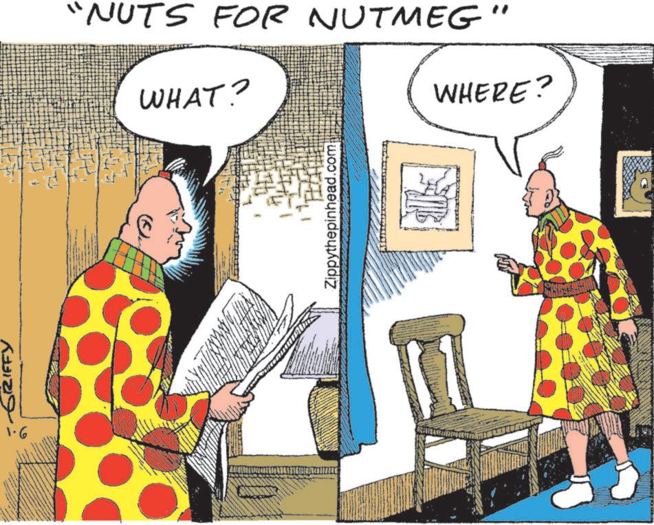 Animation OCR: -GRIFFY 1.6 "NUTS FOR NUTMEG WHAT? " WHERE? Zippythepinhead.com -GRIFFY 1.6 " NUTS FOR NUTMEG WHAT ? " WHERE ? Zippythepinhead.com
