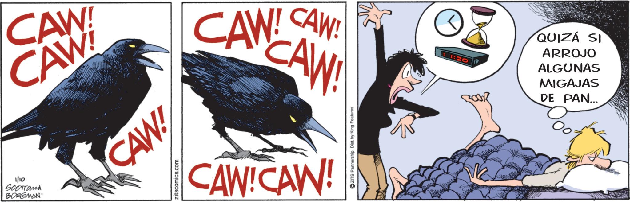 Graphics OCR: CAW! CAW! CAW! SAW! 1/10 SCOTTand BORGMAN zitscomics.com CAW! CAW!CAW! B1:20 ZITS Partnership. Dist. by King Features QUIZÁ SI ARROJO ALGUNAS MIGAJAS DE PAN... CAW ! CAW ! CAW ! SAW ! 1/10 SCOTTand BORGMAN zitscomics.com CAW ! CAW ! CAW ! B1 : 20 ZITS Partnership . Dist . by King Features QUIZÁ SI ARROJO ALGUNAS MIGAJAS DE PAN ...