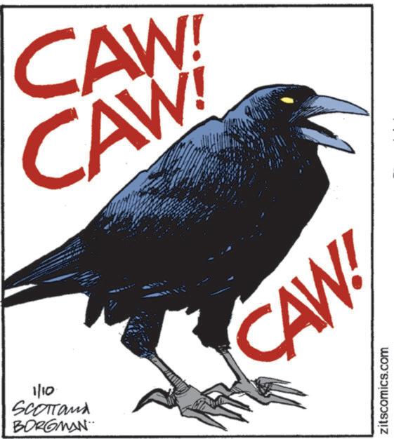 Graphic design OCR: 1/10 SCOTTand BORGMAN CAW! CAW! CAW! zitscomics.com 1/10 SCOTTand BORGMAN CAW ! CAW ! CAW ! zitscomics.com