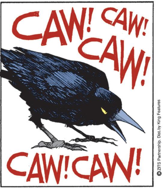 Songbirds OCR: CAW! CANCAW! CAW!CAW! OZITS Partnership. Dist. by King Features CAW ! CANCAW ! CAW ! CAW ! OZITS Partnership . Dist . by King Features