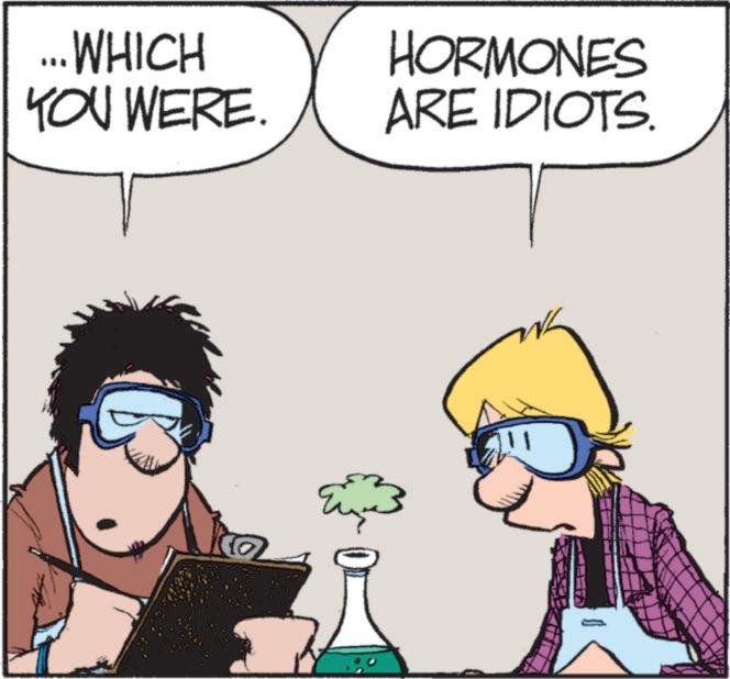 Zits - Part 3 - 2026-01-21
