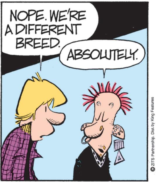 Fictional character OCR: NOPE. WE'RE A DIFFERENT BREED. ABSOLUTELY. EK ZITS Partnership. Dist. by King Features NOPE . WE'RE A DIFFERENT BREED . ABSOLUTELY . EK ZITS Partnership . Dist . by King Features